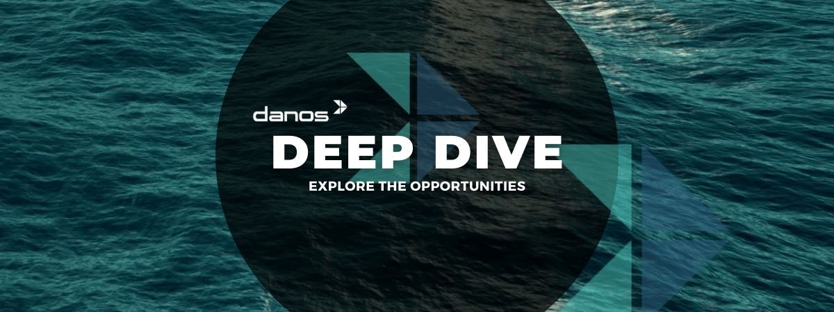 Danos Deep Dive - Intern Program and On-the-Job Learning